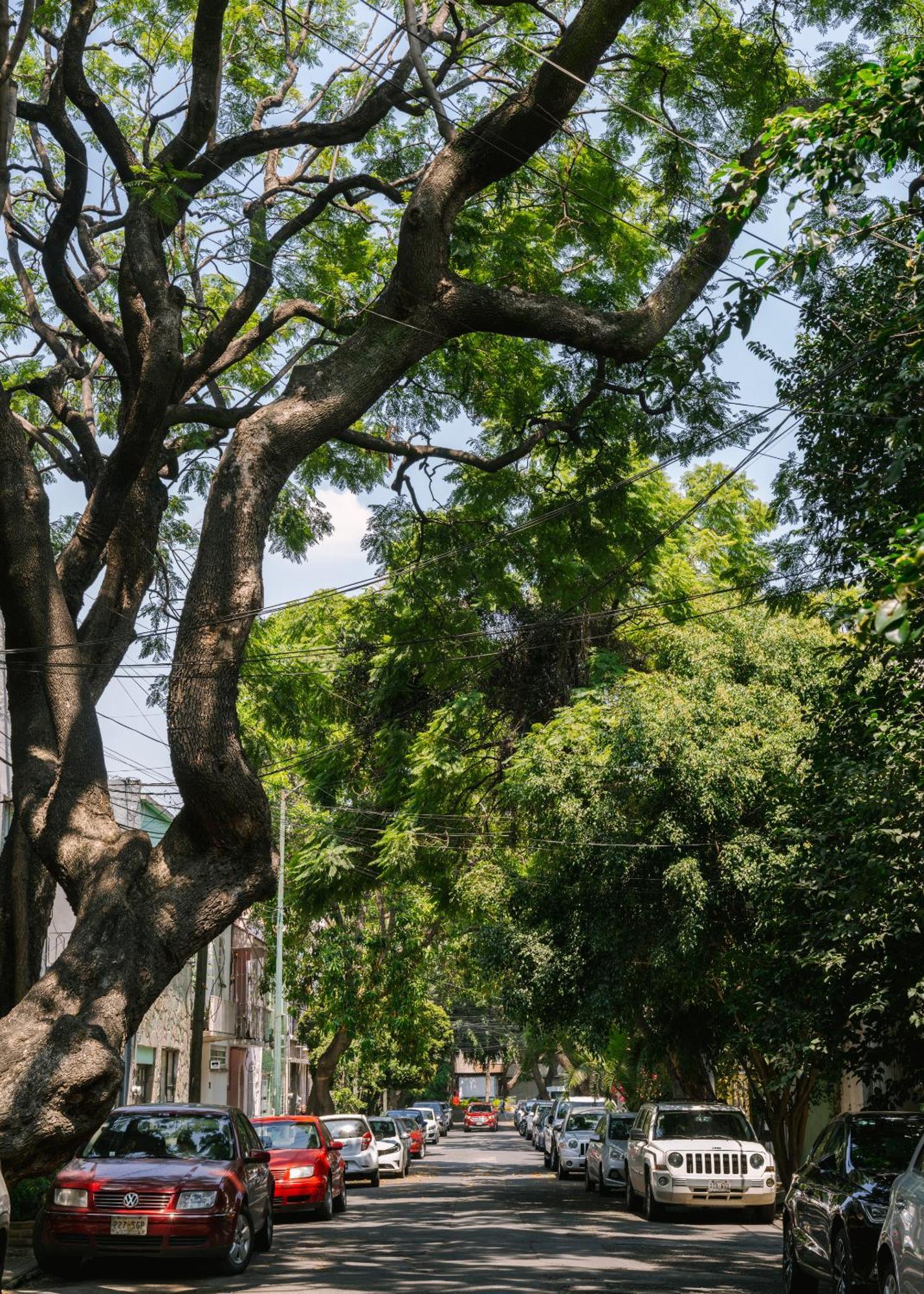 Sonder Miravalle Meksika Dış mekan fotoğraf
